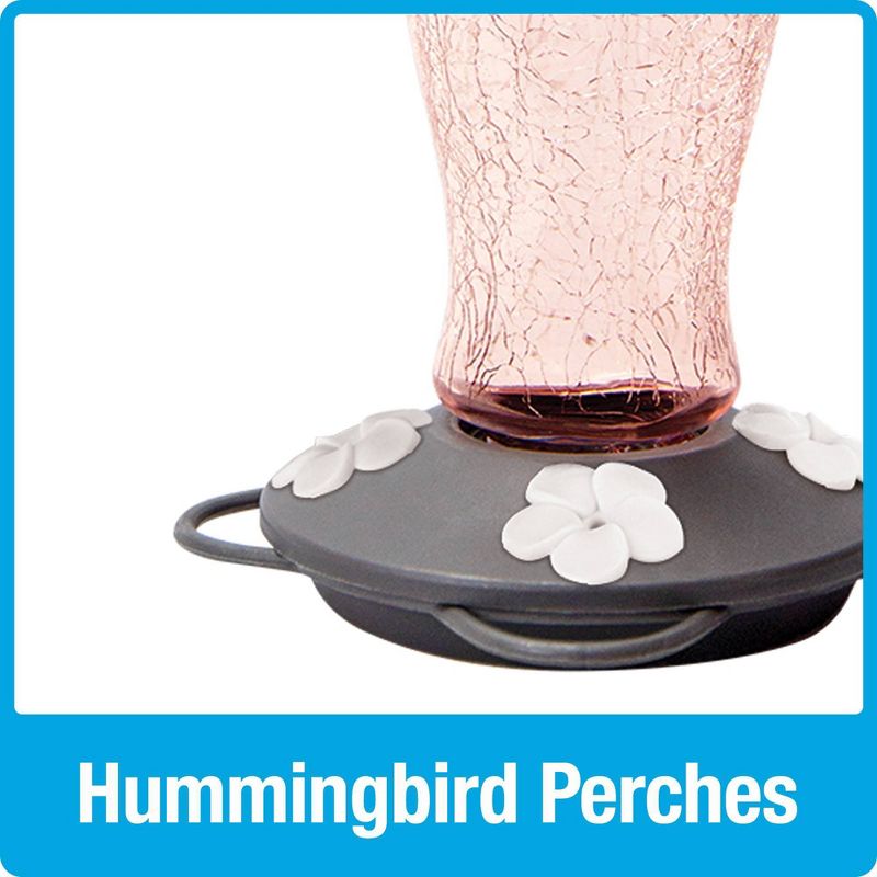 Nature&#39;s Way Bird Products Artisan Gravity Hummingbird Feeder 7.5&#34; - Blush Crackle, 6 of 8