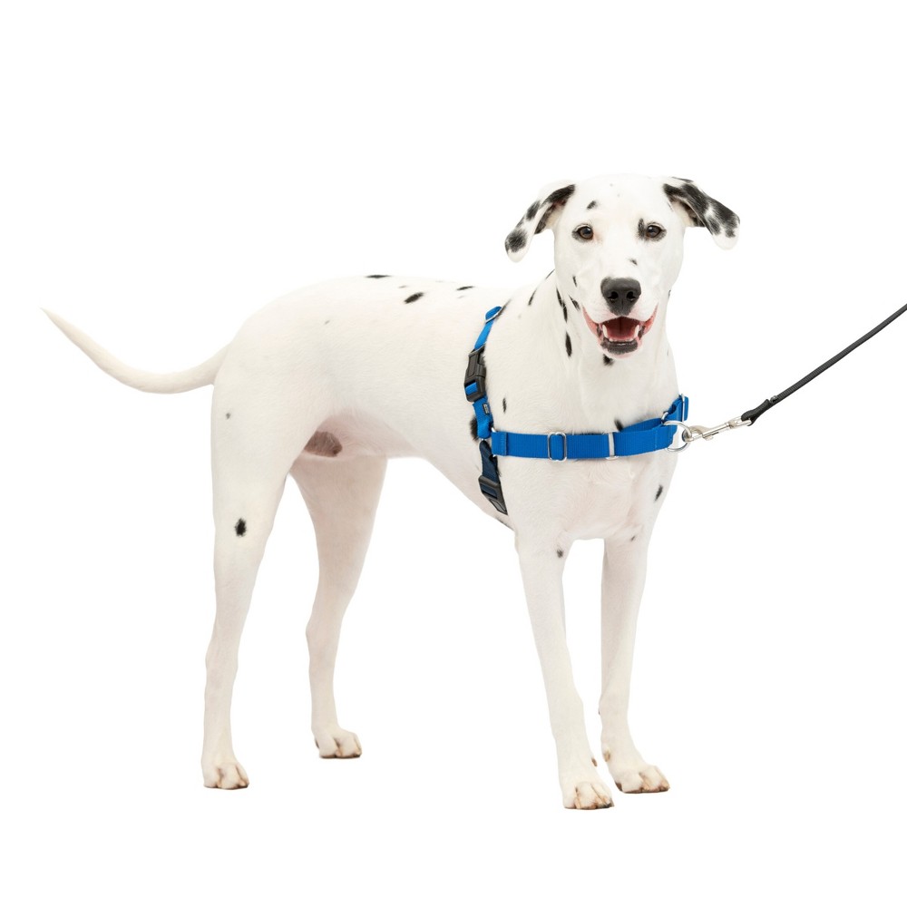 Photos - Collar / Harnesses PetSafe Easy Walk Adjustable Dog Harness - M/L - Royal Blue 