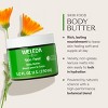 Weleda Skin Food Body Butter Calendula, Pansy, Rosemary & Chamomile - 5.0 fl oz - 4 of 4