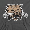 Ohio University Official Distressed Primary Adult Pull-Over Hoodie - 2 of 4
