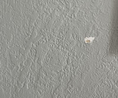 Guest review image 2 of 3, zoom in