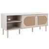 Claude 2 Door 2 Shelf Media Stand - MED9610 - Safavieh - 3 of 4