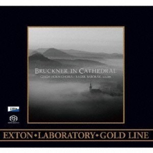 Radek Baborak & Czech Horn Chorus - Bruckner In Cathedral - 1 of 1