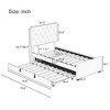 Twin Size Velvet Platform Bed with Trundle Bed Headboard and Adjustable Button Tufted Headboard, No Box Spring Needed-ModernLuxe - 4 of 4