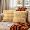 REGALWOVEN  Fade Resistant Decorative Weaving Style Soft Throw Pillow Covers 2 Pcs - 2 of 4