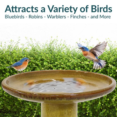 Cognac Yellow Ceramic Bird Bath with Ribbed Pedestal