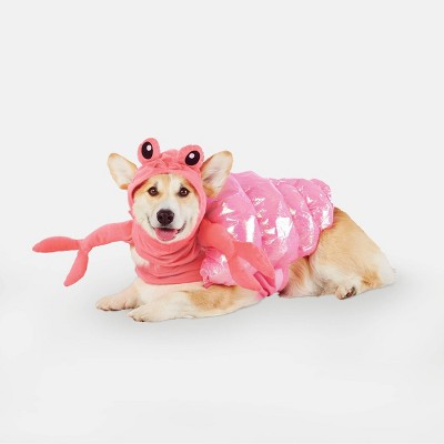 target dog clothes