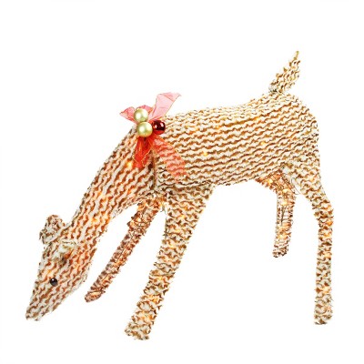 target reindeer outdoor