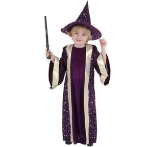 HalloweenCostumes.com 4T   Toddler Wizard Costume, Purple - 1 of 1