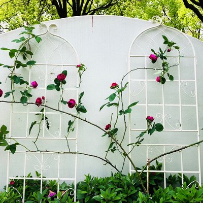 Maggift Patio Decorative Screens, Iron Arch Decoration Garden Trellis, for Outdoor for Climbing Plants Support, Flowerbed, White, 80"*19.7"*71"