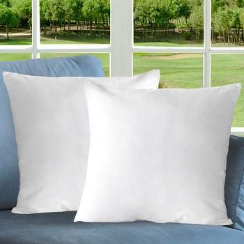 Cheer Collection Set of 2 Versatile Throw Pillows - White