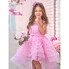 Dreaming With Fairies Pink Butterfly Tulle Dress Mia Belle Girls - 2 of 4
