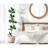 5/ 6/ 7FT Artificial Fiddle Leaf Fig Tree in Black Nursery Pot,Faux Potted Tree for Home Decor, Fake Rubber Tree for Indoor Office Living Room - 2 of 4