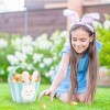 FAO Schwarz Easter Basket - 2 of 4