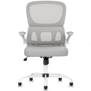 Infurnic Task and Office Chairs, Ergonomic Office Chair with Adjustable Lumbar Support and Armrests, for Home and Office, Gray, 25.59"*25"*40" - 1 of 4