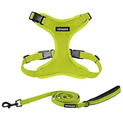 Voyager Step-In Lock Adjustable Dog & Cat Harness and 5ft Leash Combo