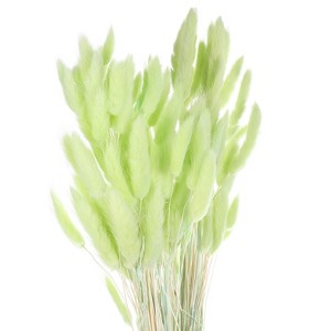 Unique Bargains Decorative Natural Dried Floral Bunny Tail Artificial Plants 120 Pcs - 1 of 4