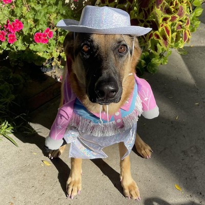 Guest review image 3 of 4, zoom in