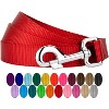 Country Brook Petz 1 Inch Nylon Dog Leash - 2 of 4
