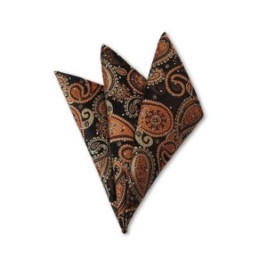 TheDapperTie - Men's Paisley Woven 10 Inch x 10 Inch Pocket Squares Handkerchief - 1 of 3