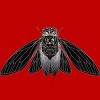 Boy's Design By Humans Monochrome Cicada By Realkey T-Shirt - 2 of 3
