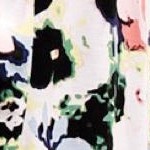 multi floral