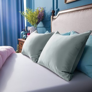 2 Pack Satin Pillowcases, Skin-Friendly Luxury Pillow Cases with Hidden Zipper - NTBAY - 1 of 4