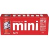 Big Red Soda - 10pk/7.5 fl oz Mini Cans - image 4 of 4