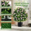 Resenkos 2-Pack Artificial Boxwood Ball Topiary Trees, Accented with  Flowers, - 3 of 4