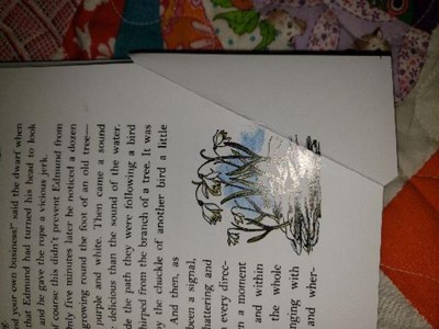 Guest review image 2 of 4, zoom in