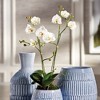 Plum & Post Phalaenopsis X 2 Drop-In 23" - 2 of 2