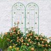 JUJABU 2 Pack Metal Garden Trellis 86.7" x 19.7"  for Climbing Plants Outdoor Flower Support - 3 of 4