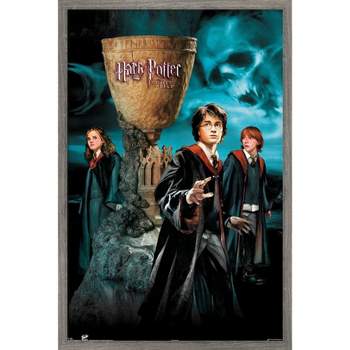 Trends International Harry Potter and the Goblet of Fire - Group Framed Wall Poster Prints