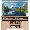 Sincido 66" TV Stand for 75 Inch TVs with Sliding Door & Adjustable Shelf for Living Room - 2 of 4
