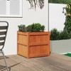 vidaXL Garden Planter Wax Brown 23.6"x23.6"x23.6" Solid Wood Pine - 3 of 4