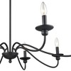 Millennium Lighting Delvona 8 - Light Chandelier in  Matte Black - 4 of 4
