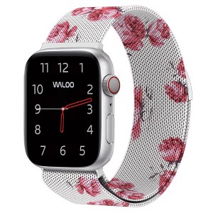 Waloo Magnetic Mesh Band For Apple Watch Series 10/9/8/7/6/5/4/3/2/1/SE/Ultra - 1 of 3
