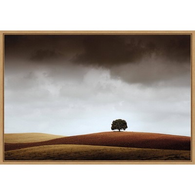 23" x 16" Distant Tree and Horizon by Alberto Merchan Framed Wall Canvas - Amanti Art