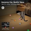Potaroma 12 Pcs Quiet Play Felt Cat Ball Toys with Catnip Inside - 2 of 3