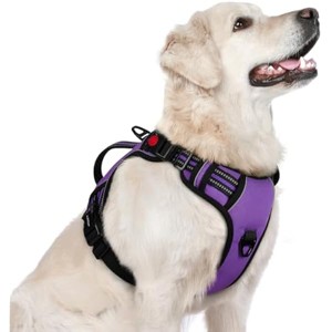 rabbitgoo Dog Harness for Large Dogs, , , Easy Walking Harness with 2 Leash Clips, Purple, L - 1 of 1