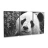 Trademark Fine Art SD Smart Giant Panda 3 Piece Panel Set Art - 2 of 3