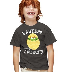 Sesame Street Still Grouchy Easter Kids T-Shirt For Youth Charcoal - 1 of 4