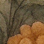 farmhouse gray