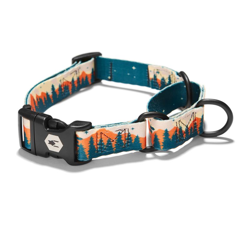 Wolfgang Man & Beast Premium Martingale Dog Collar for Small Medium Large Dogs, Made in USA, Overland Print, 1 of 3