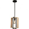 Artcraft Lighting Perris 1 - Light Pendant in  Black - 2 of 4
