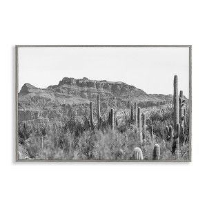 Stupell Industries American Borderlands Desertscape, 30" x 20" - 1 of 4