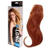 Straight Extension Kit - R28S Glazed Fire by Hairdo for Women - 22 Inch Hair Extension - 4 of 4