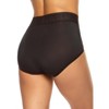 Felina | High Waisted Modal Stretch Brief | Lace Trim | 5-Pack | Full Coverage - 4 of 4