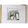 Dexmalle Set of 2 Fake Elephant Pencil Drawings Wall Decor - 4 of 4