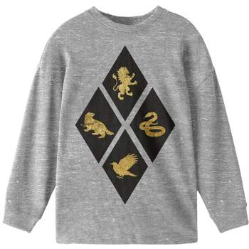 Harry Potter 4 Hogwarts Houses Youth Boys Heather Gray T-shirt-large :  Target